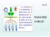2024九年级化学下册第11单元化学与社会发展11.3化学与农业生产课件（鲁教版）