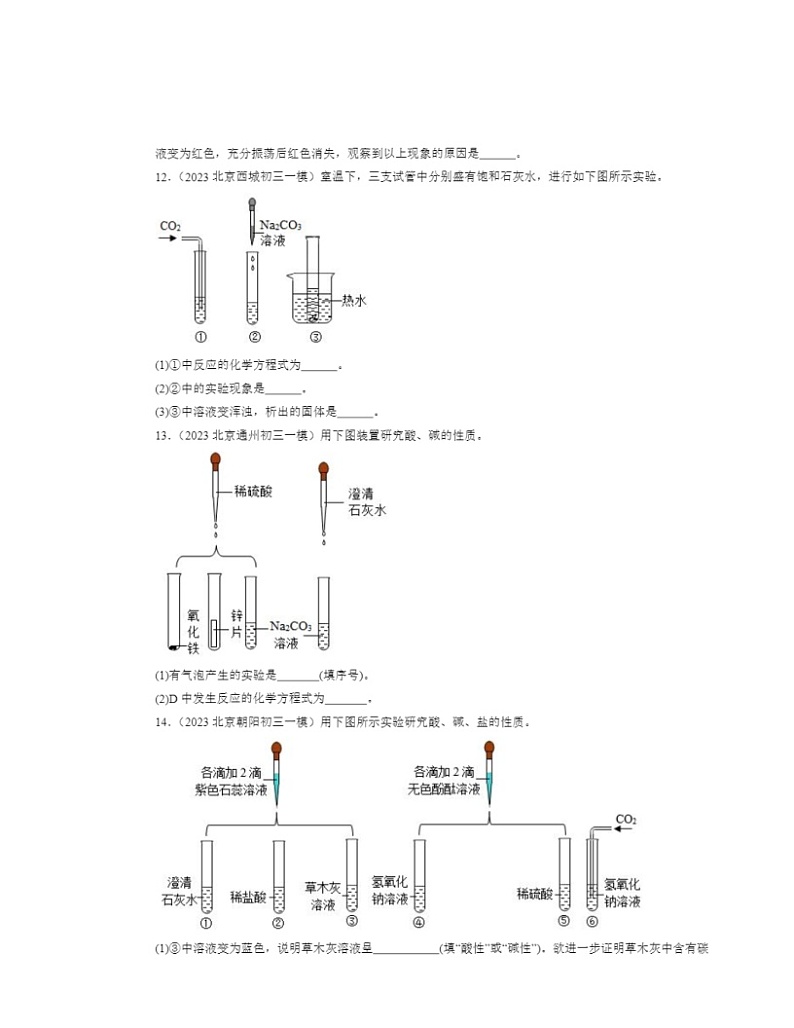 2022～2024北京初三一模化学试题分类汇编：盐的性质03