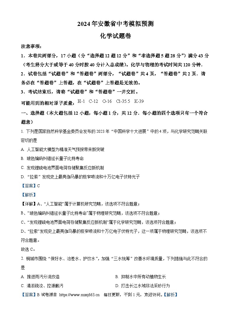 2024年安徽省池州市中考模拟预测化学试题01