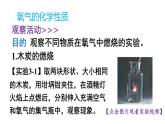 3.1 氧气的性质和用途  课件---2024-2025学年九年级化学科粤版上册