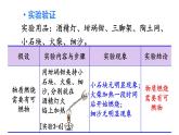 3.3 燃烧条件与灭火原理 第1课时  课件---2024-2025学年九年级化学科粤版上册