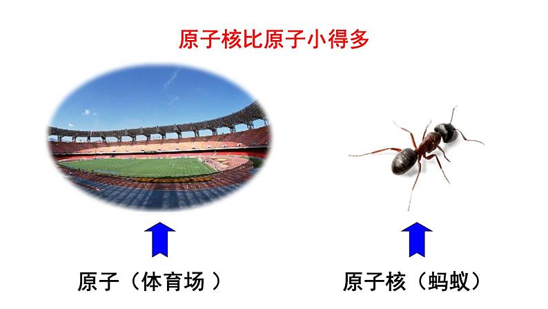 2.2 构成物质的微观微粒 第4课时 课件---2024-2025学年九年级化学科粤版上册03