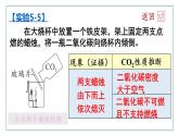 5.3 二氧化碳 课件---2024-2025学年九年级化学科粤版上册