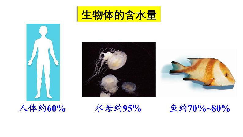 3.4 水资源  课件---2024-2025学年九年级化学科粤版上册07