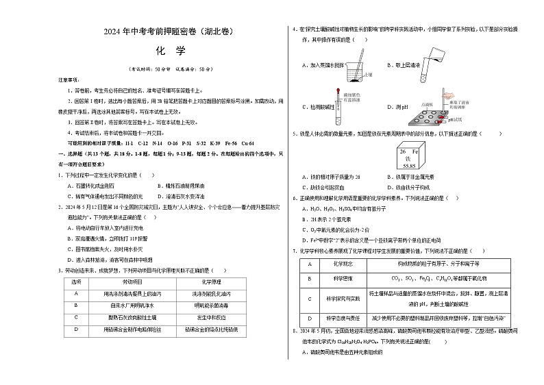 化学（湖北卷）（考试版A3）第1页