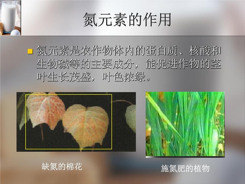 仁爱版九年级化学上册课件 专题一第一单元《化学使生活更美好》第6页
