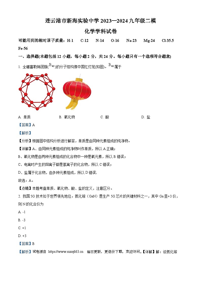 2024年江苏省连云港市新海实验中学中考二模化学试题第1页