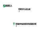 人教版九下化学 第九单元 课时1 溶质的质量分数 课件