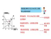 人教版九下化学 第九单元专题 溶解度曲线及其应用 课件
