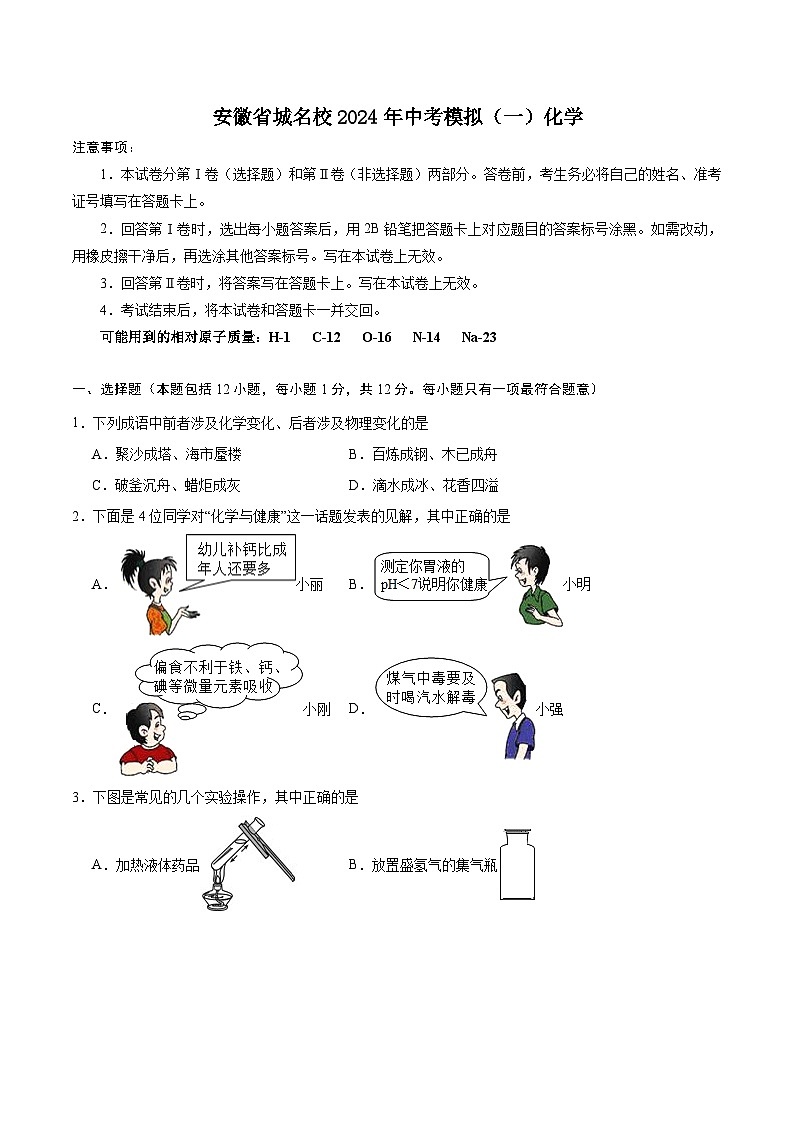 安徽省城名校2024年中考模拟（一）化学 （含答案）第1页