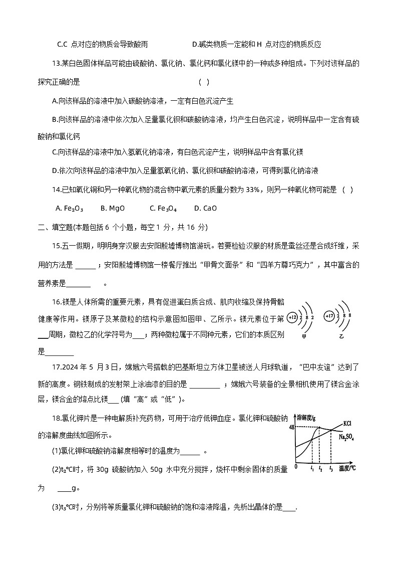2024年河南省南阳市南召县中考三模化学试题+第3页