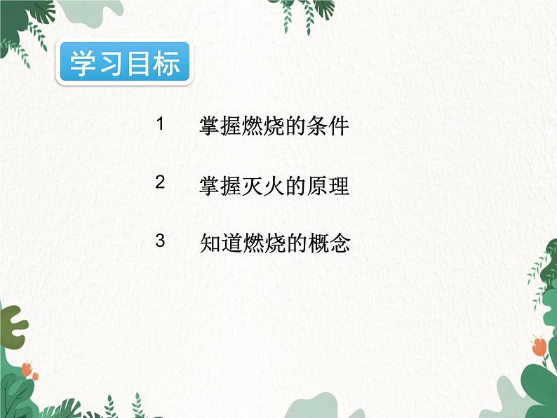 人教版化学九年级上册 第七单元课题1第一课时 燃烧和灭火课件03