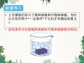 人教版化学九年级下册 第九单元课题2第二课时 溶解度课件