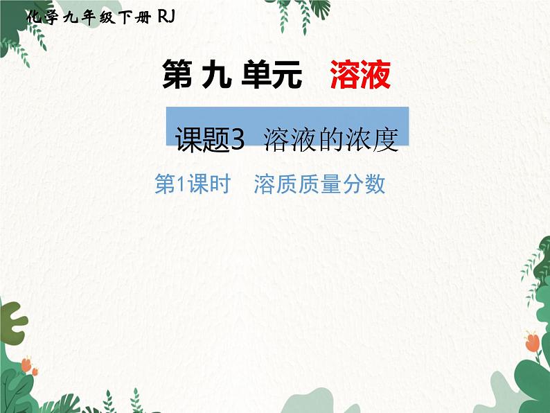 人教版化学九年级下册 第九单元课题3第一课时 溶质质量分数课件第1页