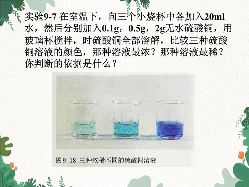 人教版化学九年级下册 第九单元课题3第一课时 溶质质量分数课件第5页