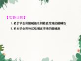 人教版化学九年级下册 第十单元实验活动七 溶液酸碱性的检验课件