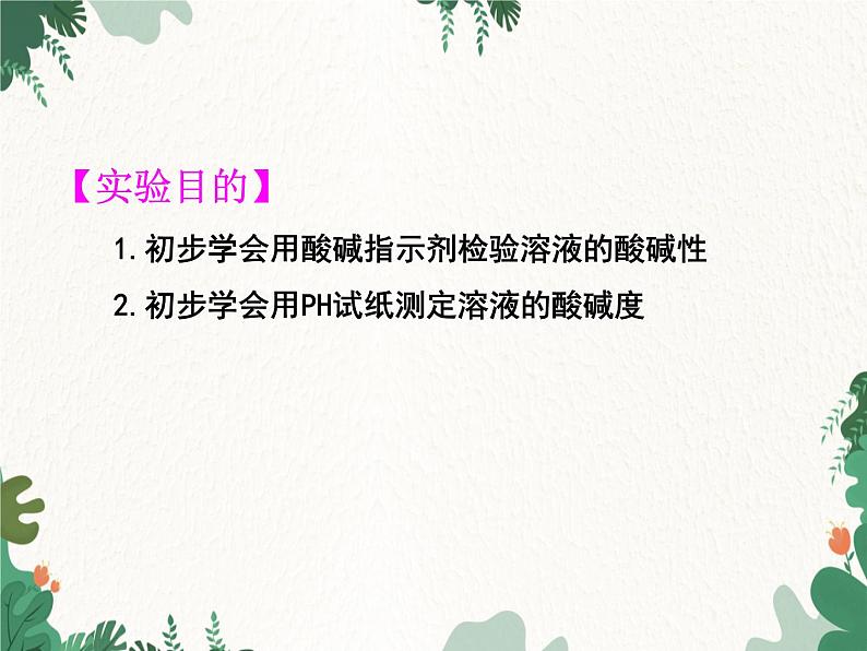 人教版化学九年级下册 第十单元实验活动七 溶液酸碱性的检验课件第2页