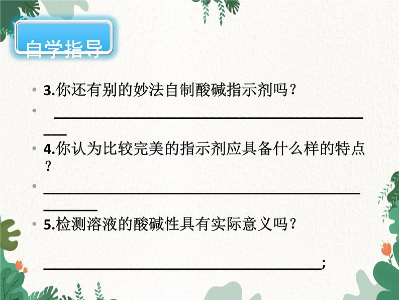 人教版化学九年级下册 第十单元实验活动七 溶液酸碱性的检验课件第5页