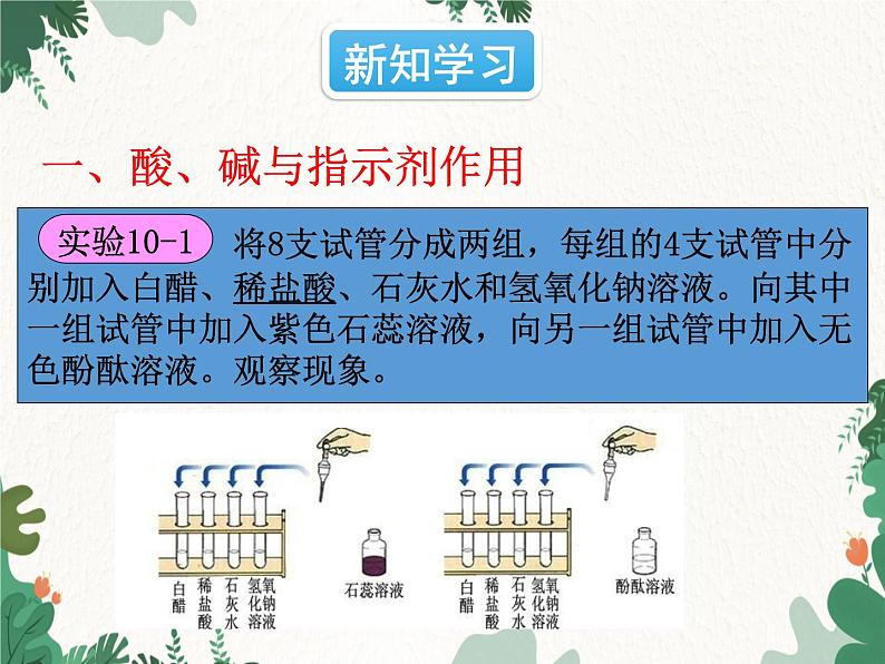 人教版化学九年级下册 第十单元课题1第一课时 酸碱指示剂和常见的酸课件04