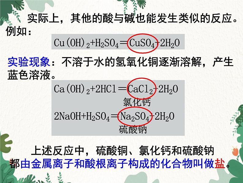 人教版化学九年级下册 第十单元课题2第一课时 中和反应课件第7页