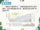 人教版化学九年级下册 第十一单元课题2 化学肥料课件