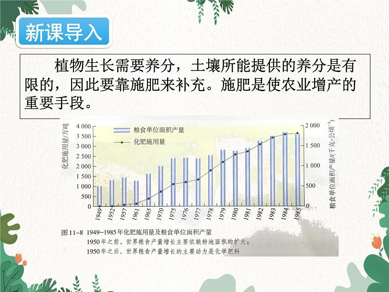 人教版化学九年级下册 第十一单元课题2 化学肥料课件02