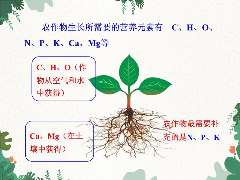 人教版化学九年级下册 第十一单元课题2 化学肥料课件04