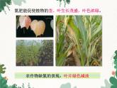 人教版化学九年级下册 第十一单元课题2 化学肥料课件