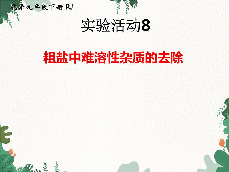 人教版化学九年级下册 第十一单元实验活动八 粗盐中难溶性杂质的去除课件第1页