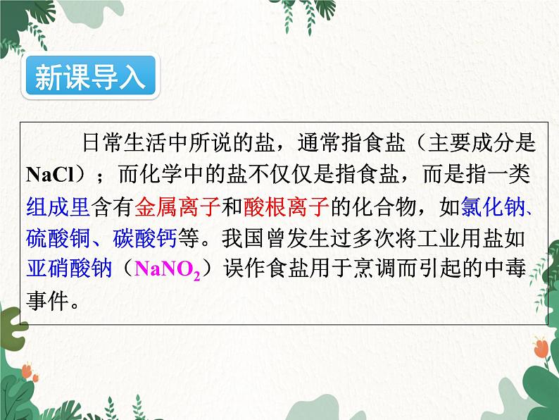 人教版化学九年级下册 第十一单元课题1第一课时 几种常见的盐课件第2页