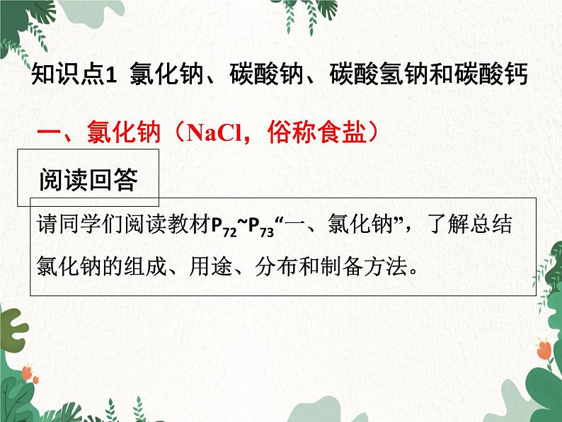 人教版化学九年级下册 第十一单元课题1第一课时 几种常见的盐课件第7页