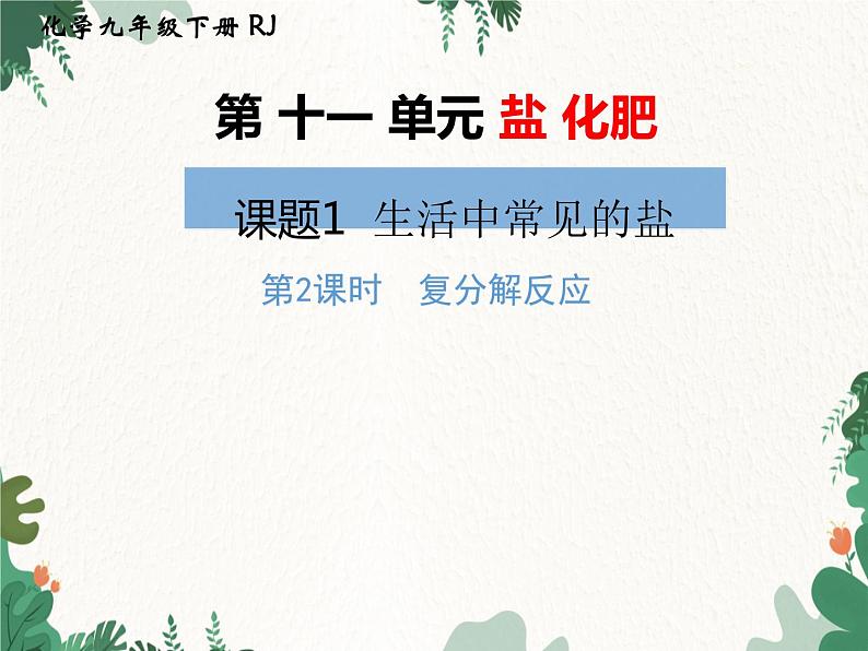 人教版化学九年级下册 第十一单元课题1第二课时 复分解反应课件第1页