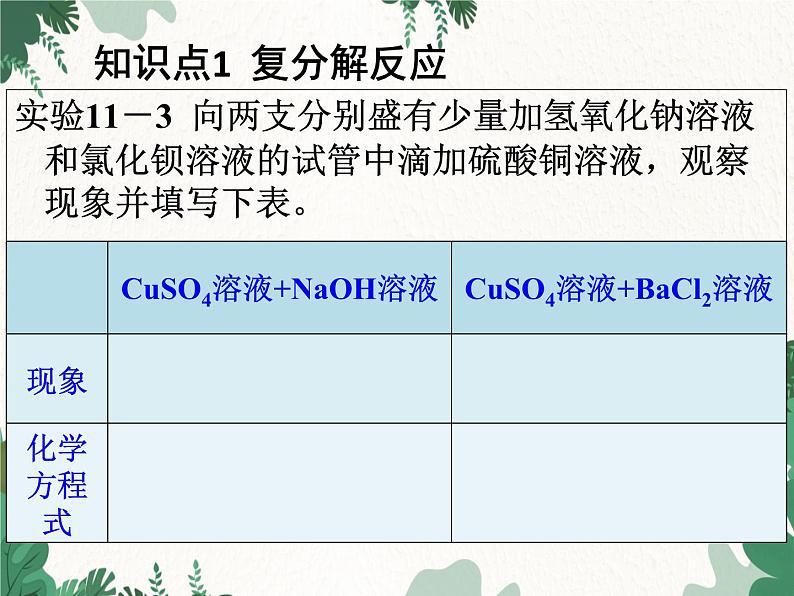 人教版化学九年级下册 第十一单元课题1第二课时 复分解反应课件第5页