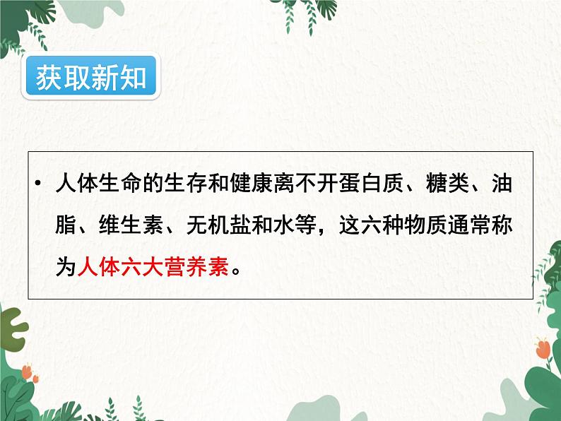 人教版化学九年级下册 第十二单元课题1 人类重要的营养物质课件04