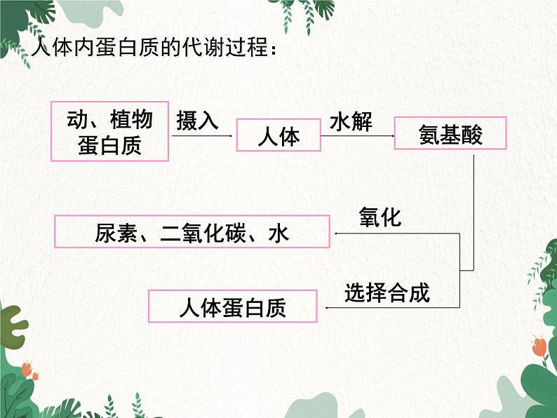 人教版化学九年级下册 第十二单元课题1 人类重要的营养物质课件08