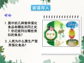 人教版化学九年级下册 第十二单元课题2 化学元素与人体健康课件