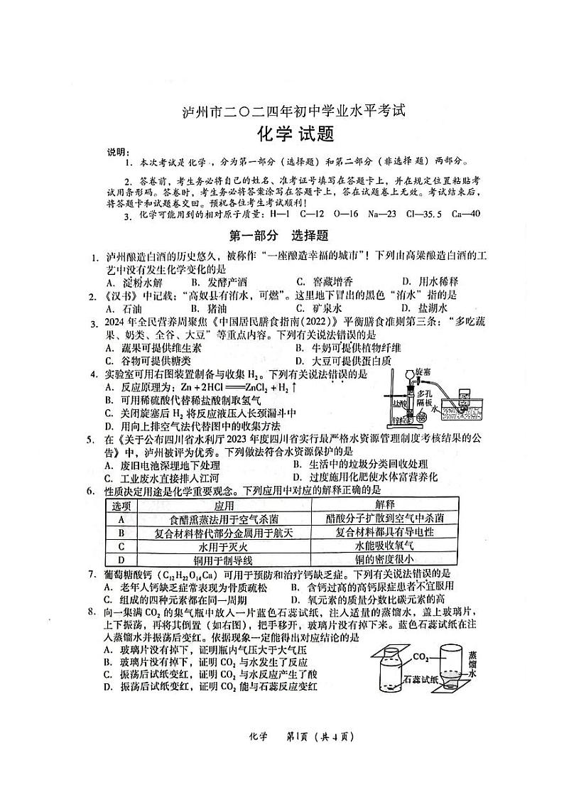2024年四川省泸州市中考化学试题第1页