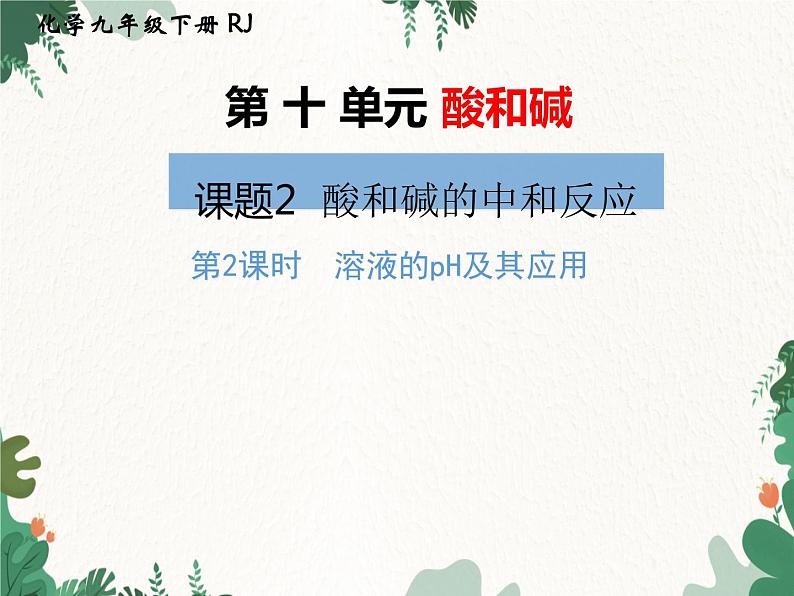 人教版化学九年级下册 第十单元课题2第二课时 溶液的PH及其应用课件01