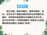 人教版化学九年级下册 第十单元课题2第二课时 溶液的PH及其应用课件