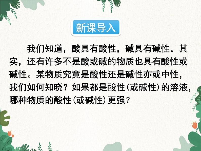 人教版化学九年级下册 第十单元课题2第二课时 溶液的PH及其应用课件02