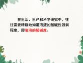 人教版化学九年级下册 第十单元课题2第二课时 溶液的PH及其应用课件