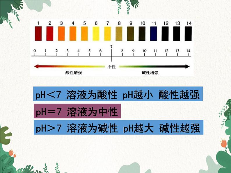 人教版化学九年级下册 第十单元课题2第二课时 溶液的PH及其应用课件05