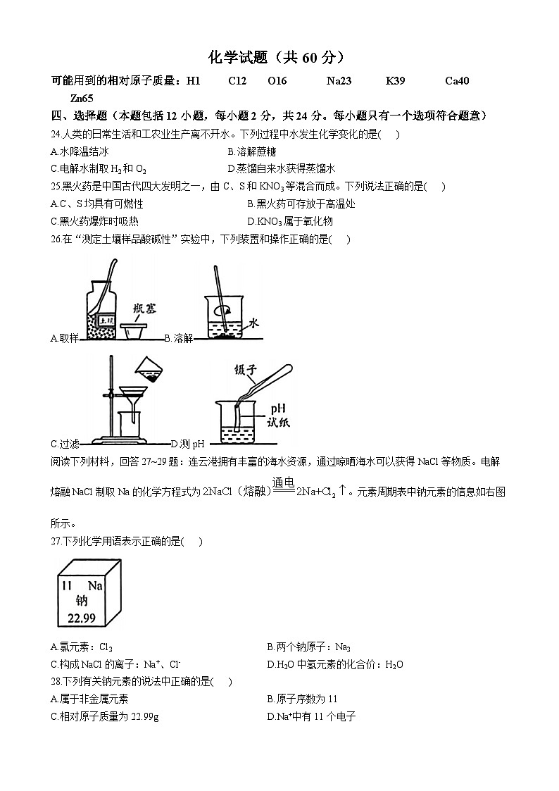 2024年江苏省连云港市中考化学真题第1页