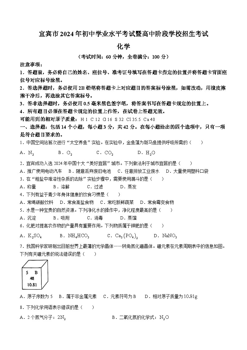 2024年四川省宜宾市中考化学真题(无答案)01
