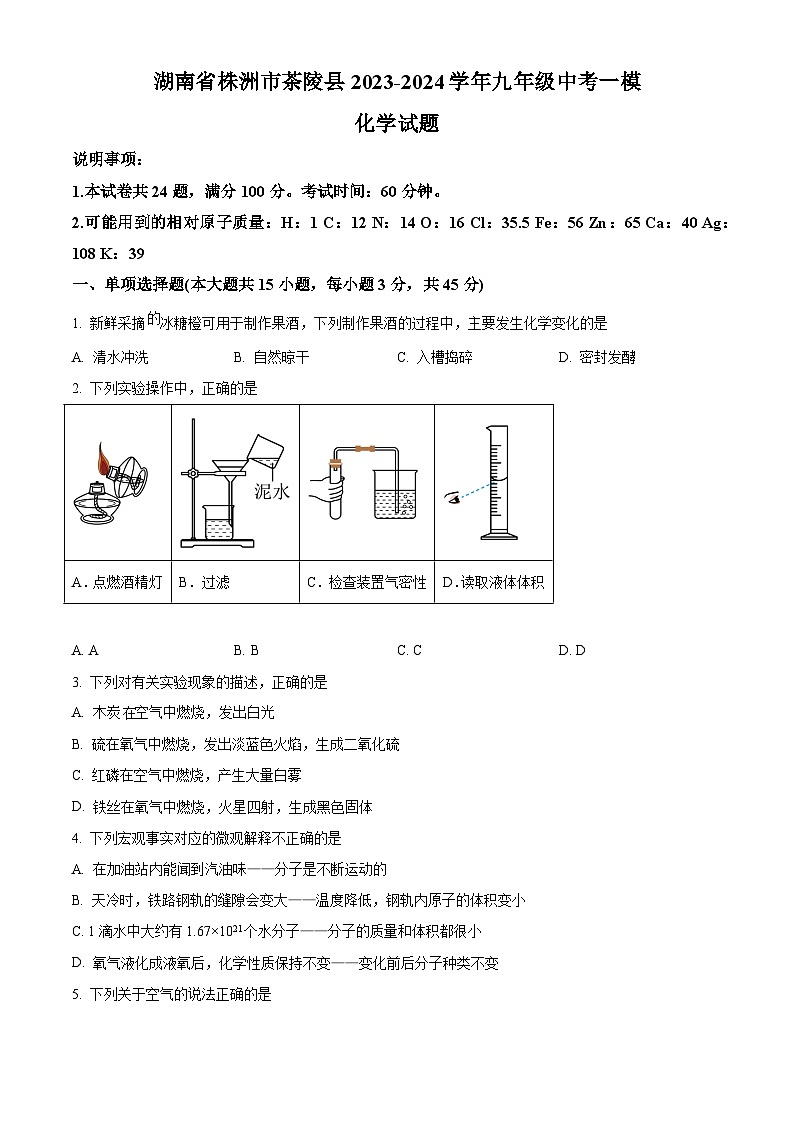 2024年湖南省株洲市茶陵县中考一模化学试题（解析版）01