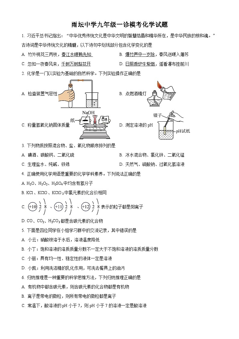 2024年四川省泸州市泸县雨坛中学一诊模考化学试题（解析版）01
