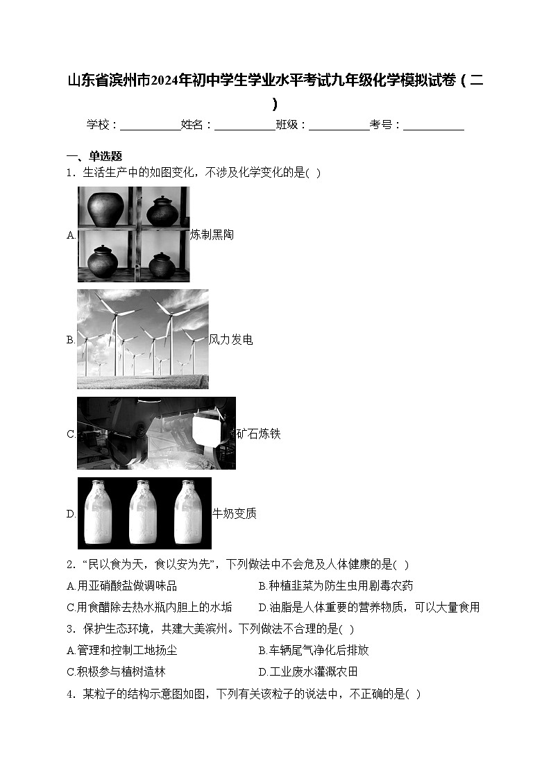 山东省滨州市2024年初中学生学业水平考试九年级化学模拟试卷（二）(含答案)第1页