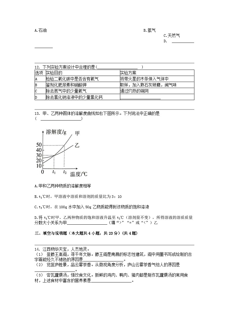 [化学]江西省九江市瑞昌市2023-2024化学年九年级下学期期中化学试题03