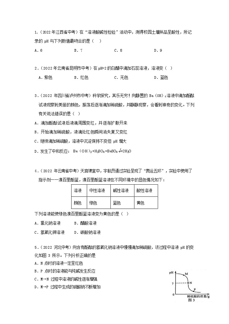 14 溶液的酸碱性的检验中考化学必考实验专练第3页