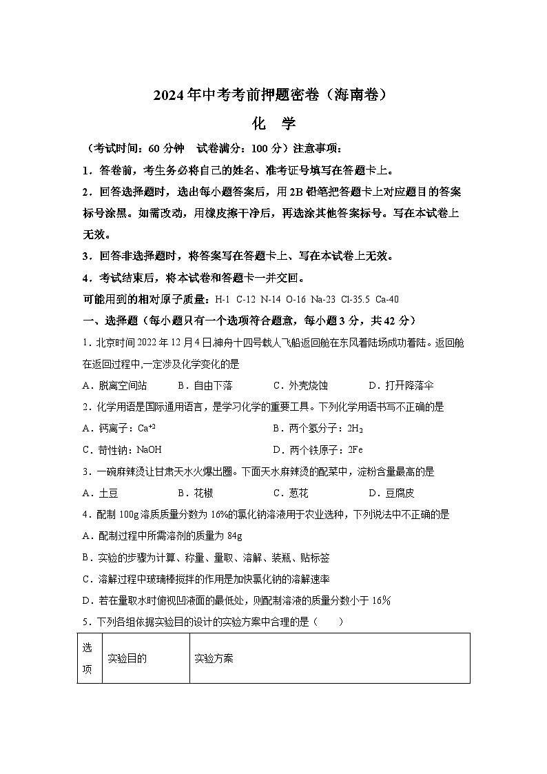 化学（海南卷）-2024年中考考前最后一卷01